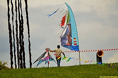 Venice kite festival_0230